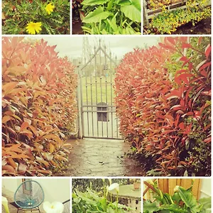 Apartament Le 7 Calle